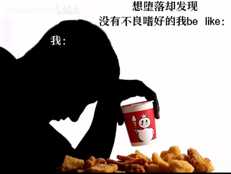 Featured image of post 硬盘爆炸后回归